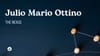 Julio Mario Ottino: The Nexus