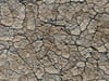 A photo of the cracked lakebed of the Alvord Desert